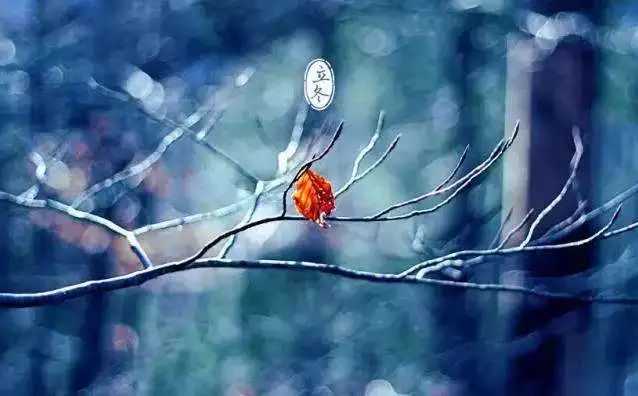 今日立冬品读最美的十首节气诗词,节气物语今日立冬