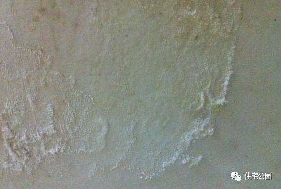 照着这些办法补救，你家房子也能50年不再返潮、发霉、起皮