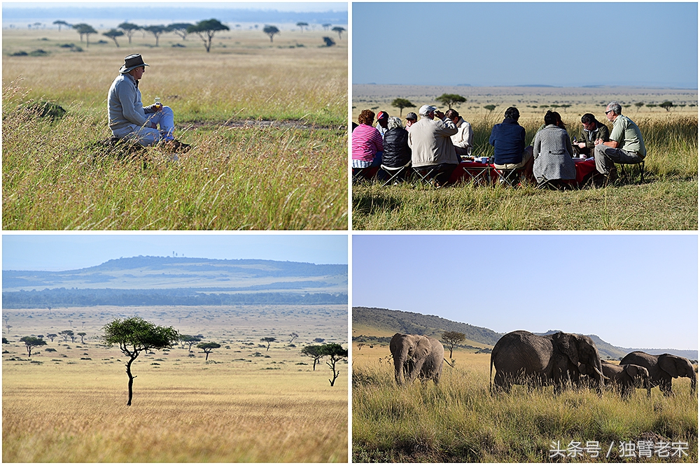 肯尼亚动物大迁徙旅游,肯尼亚迁徙之旅