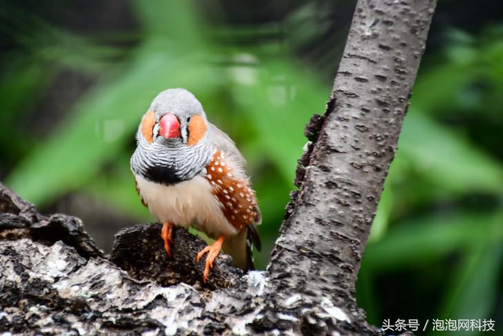 尼康d7500属于什么级别的单反,尼康d7500各种环境下的拍摄参数