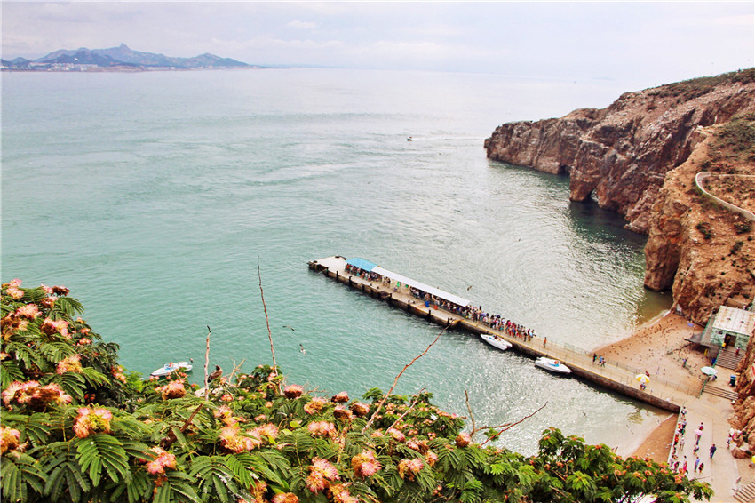 探海外仙境海驴岛,寻找海鸥王国的故事