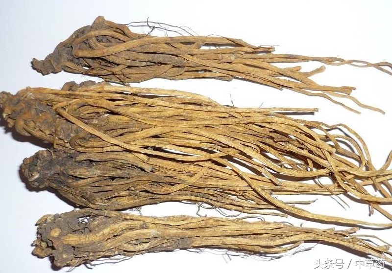 药性歌括四百味清热药,清热燥湿祛风杀虫止痒中药处方