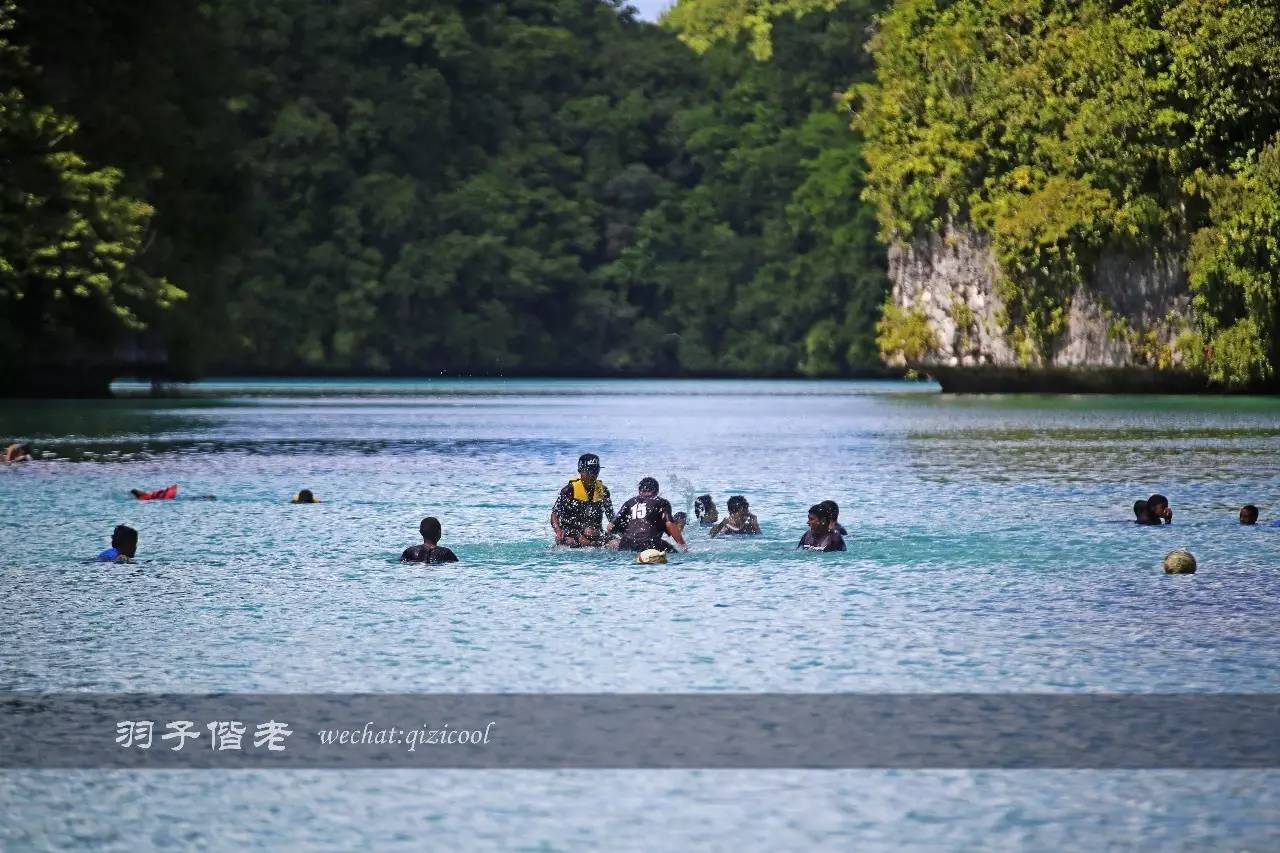 帕劳旅行真实感受,三次帕劳是一种什么体验