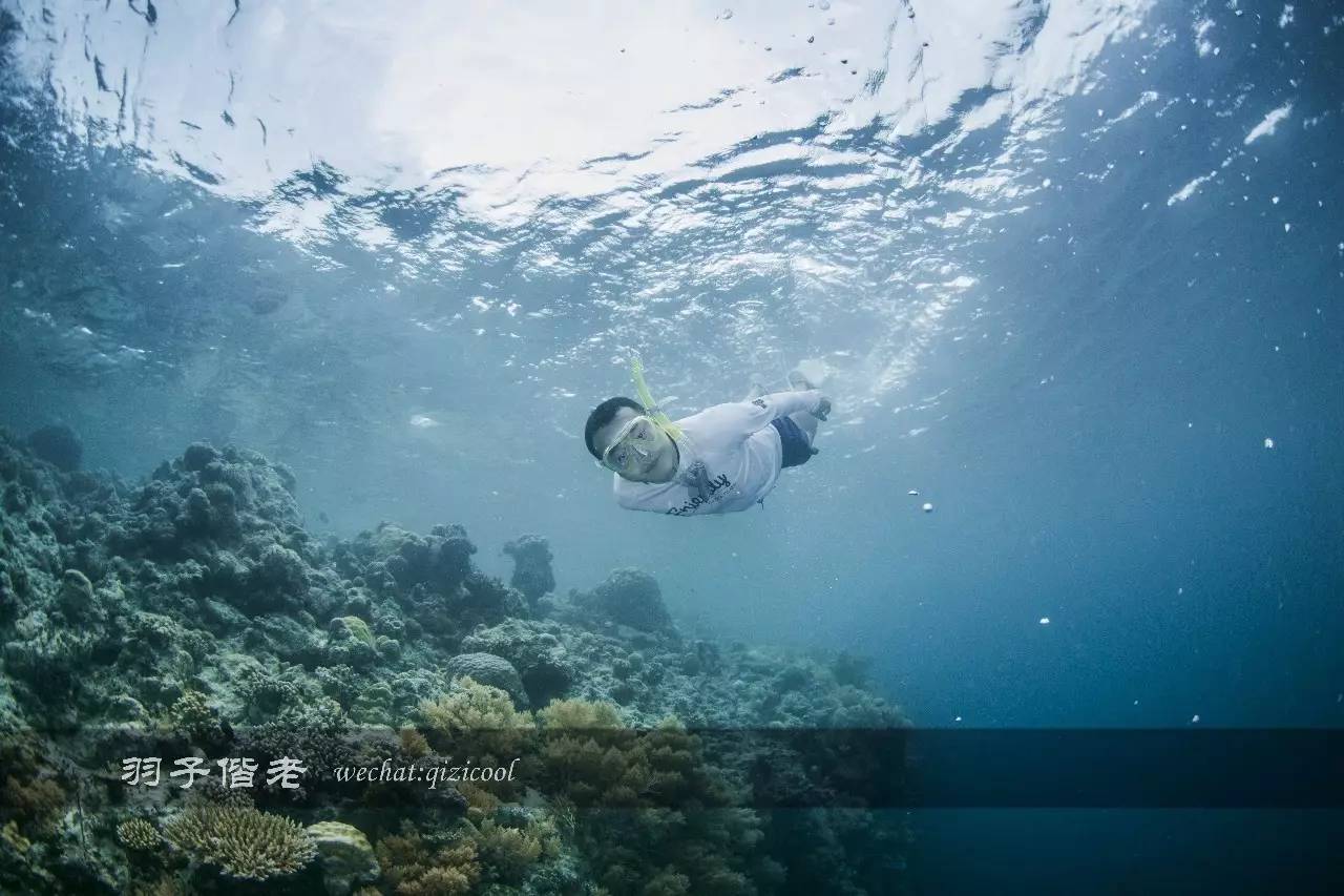 帕劳旅游发展的前景,去帕劳注意事项和必备品