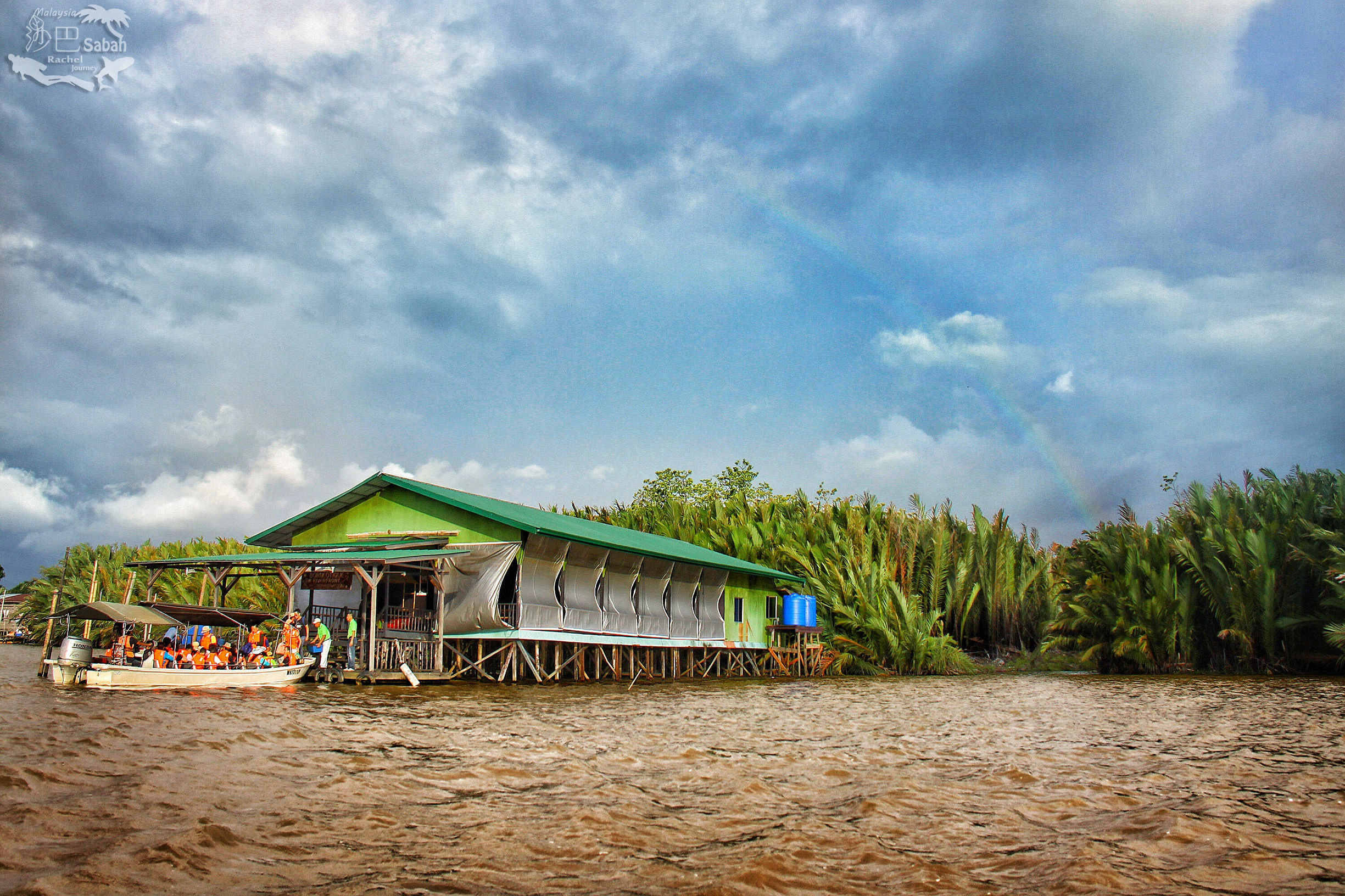热带雨林是毒还是美威士顿红树林里有怎样的奥秘
