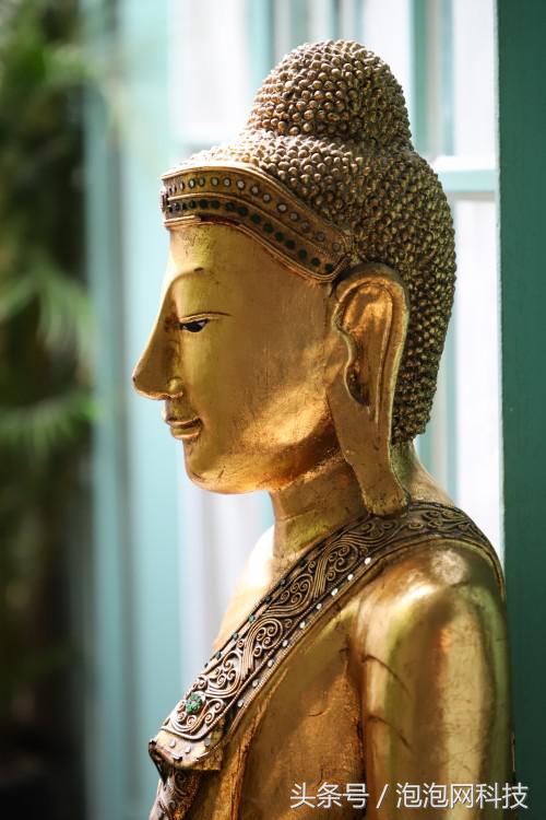 佳能6dmark2是哪个级别的,佳能6d高感能到多少