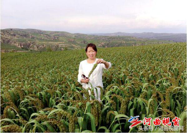 农村女孩的创业梦想,农村姑娘创业梦