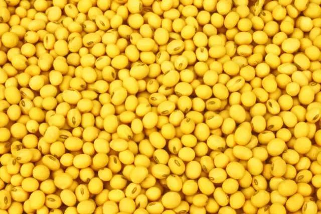 日本将推出新型Tonyu-inryo豆浆酸奶饮料