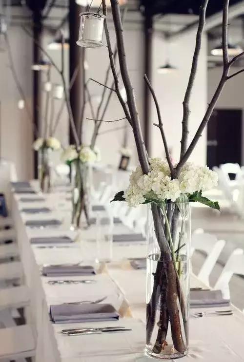 生活创意｜捡几根枯树枝搁家里，竟然有十几种用途简直成了家里的装饰品，一道风景线