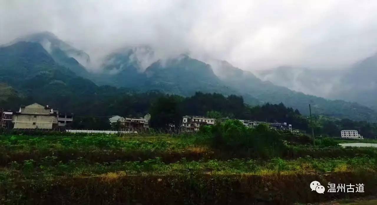 文成县珊溪水库地图,正宗文成珊溪水库有机鱼