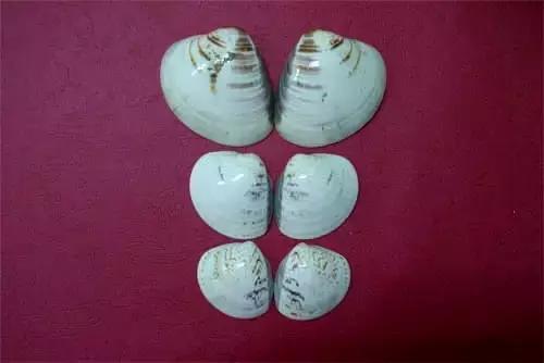 分得清才能拎得清,分得清