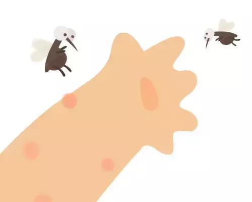 烦烦烦，蚊子就爱咬你？！秘密在这里！