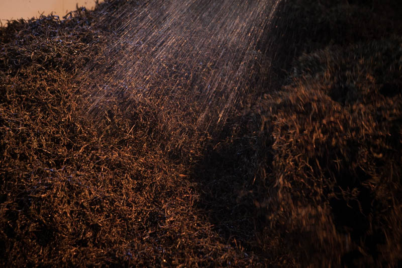 普洱茶陈香和糯香哪个更好喝,普洱熟茶中呈现出陈香特点的物质