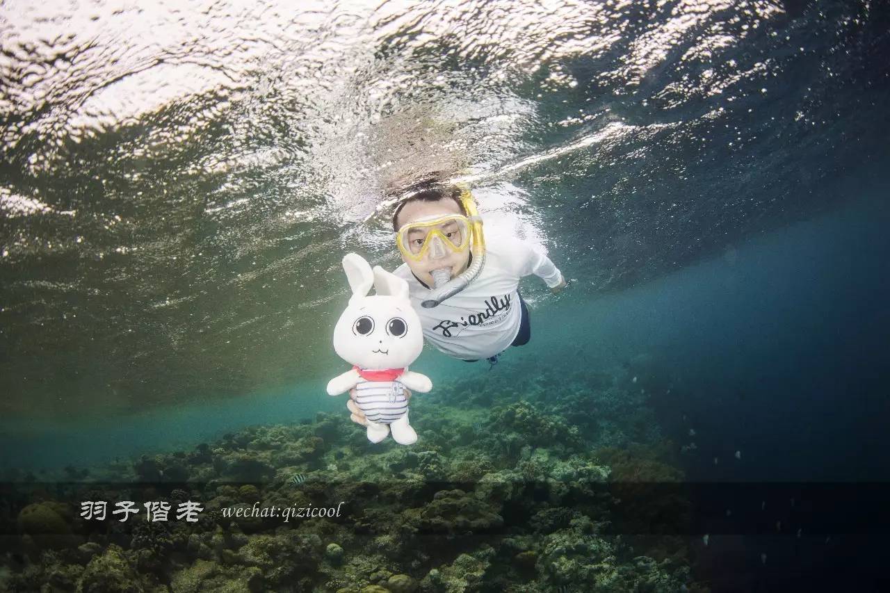 帕劳的旅游时长是多少,帕劳旅游找哪个旅行社