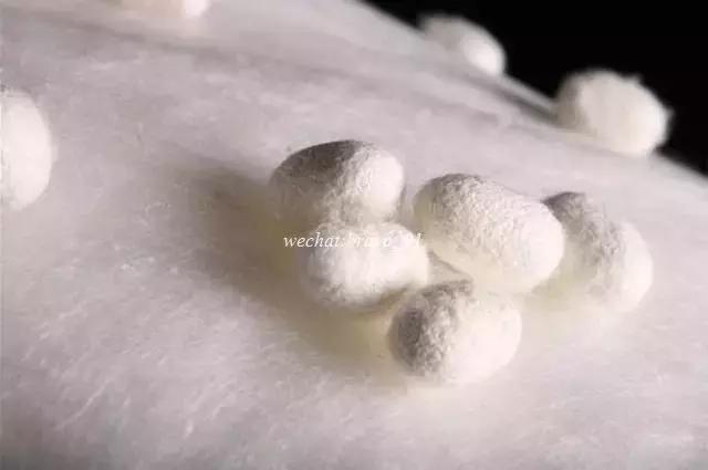 2019款爱马仕丝巾怎么系,爱马仕丝巾洗过全是皱褶