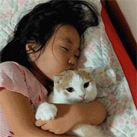 猫咪贴面膜,给猫咪敷面膜