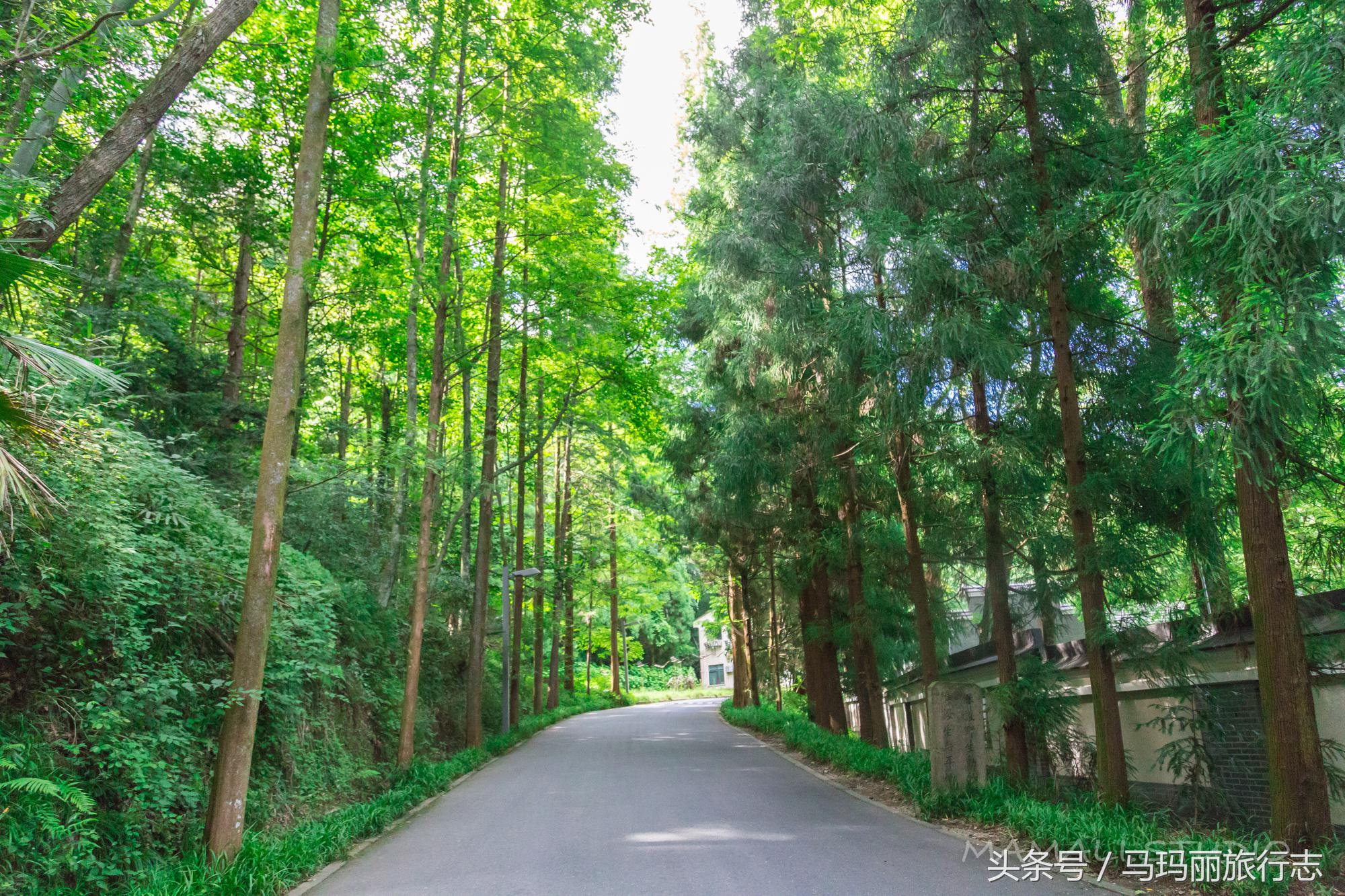 雍正乾隆柏林寺,雍正乾隆上方寺