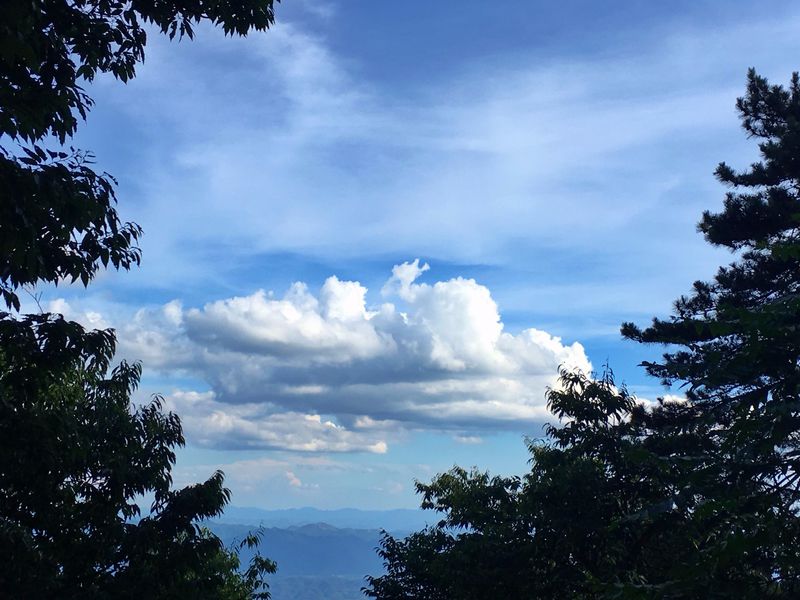 一场说走就走暑假旅行,一场说走就走的旅行来了