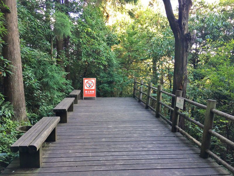 一场说走就走的夏日旅游,一场说走就走的山水旅游