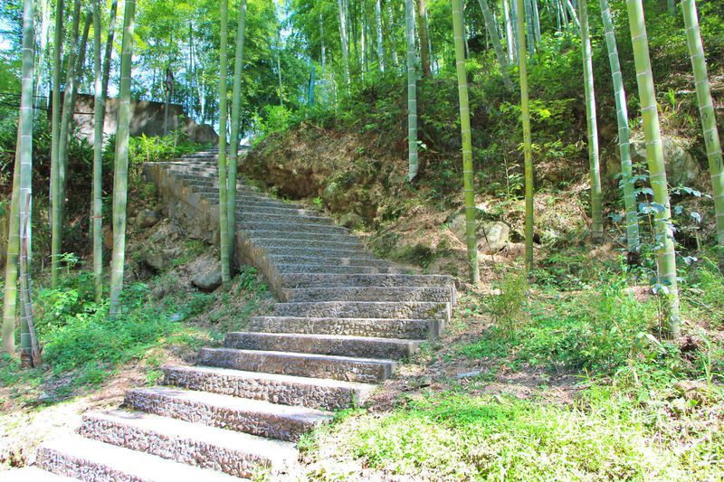 一场说走就走的夏日旅游,一场说走就走的山水旅游