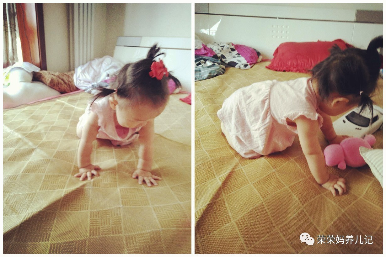 甭管虫子爬、小狗爬还是小熊爬,好歹您也爬一爬!爬行这一步绝对不容错过!