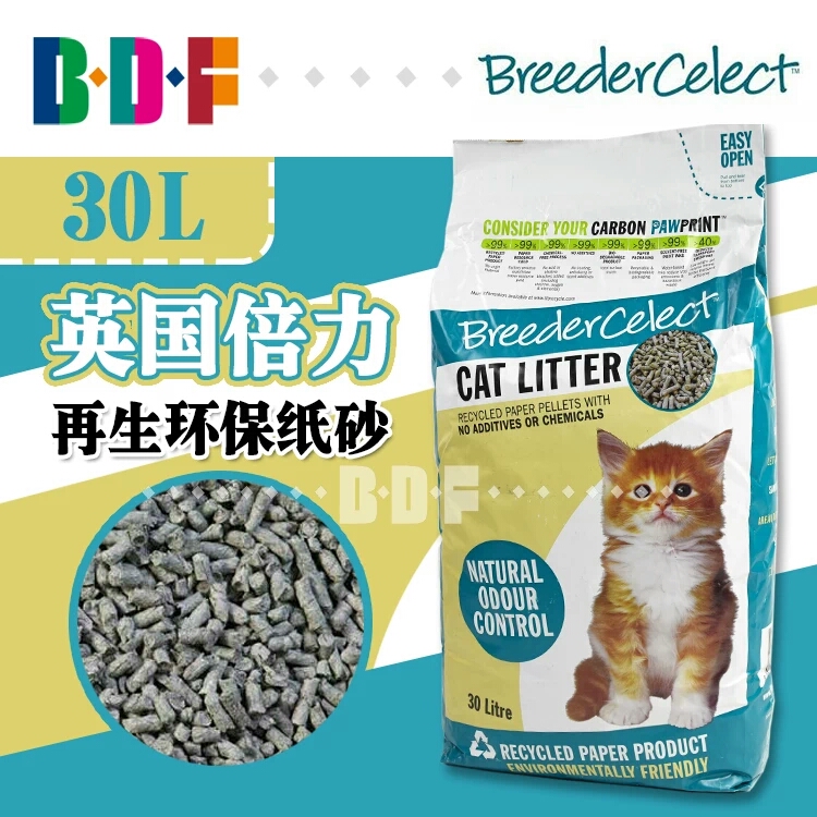 来点福利,新手养2个月小奶猫注意事项