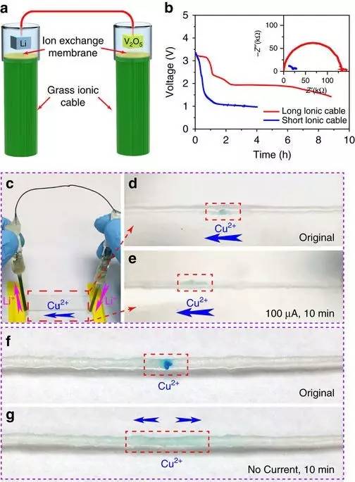 新型电池钠离子电池,世界首款核电池