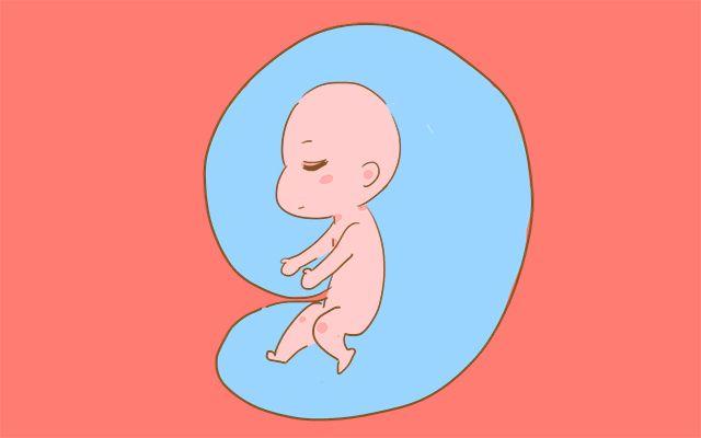 孕33周明显感觉胎动频繁,孕33周胎动怎么忽然变多了正常吗