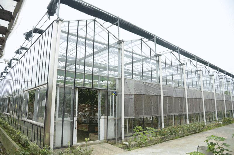 不是天生黑的被晒黑的怎么变白,不是天生黄皮怎样美白