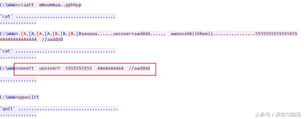 黑客新手入学代码,黑客攻防webshell