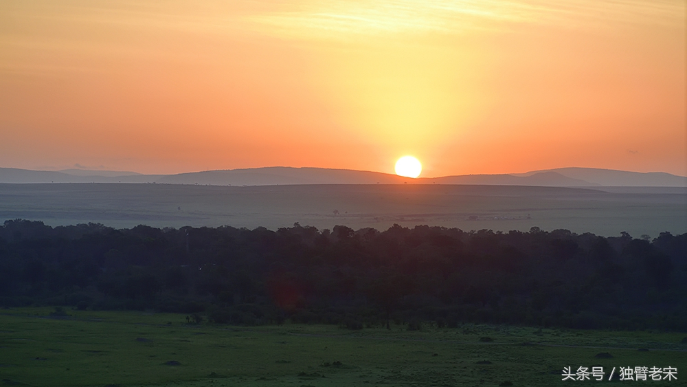 肯尼亚动物大迁徙旅游,肯尼亚迁徙之旅