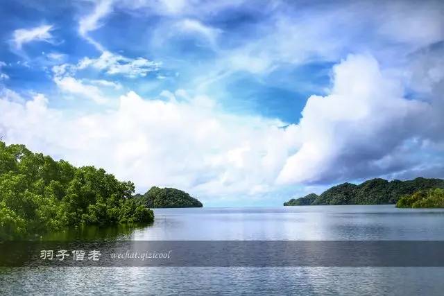 帕劳旅行真实感受,三次帕劳是一种什么体验