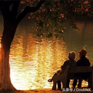 致橡树仿佛永远分离却又终身相依,读致橡树的感受