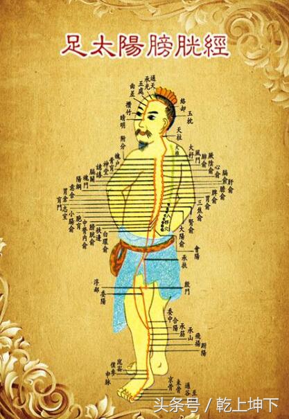 什么是易筋经,什么是易筋经内容