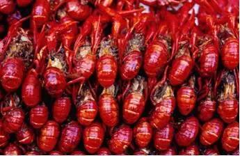 包教包会包分配,月嫂育婴包教包会包分配工作