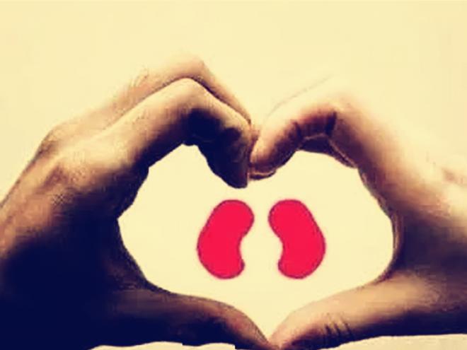 肾病患者吃了激素跟没吃一样,这是怎么回事?