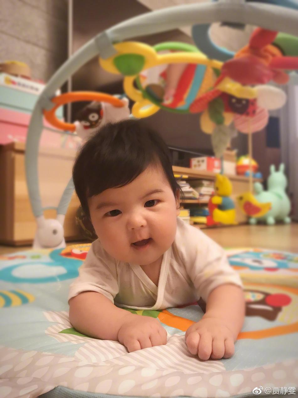 8-12月育儿知识分享,2017育儿知识分享会