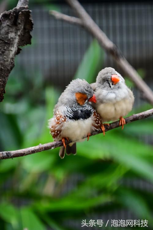 尼康d7500属于什么级别的单反,尼康d7500各种环境下的拍摄参数