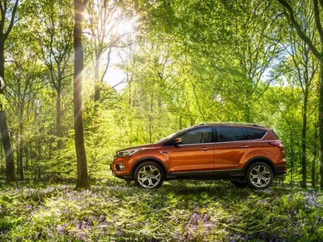 福特内饰为什么臭,福特车内有尾气味道