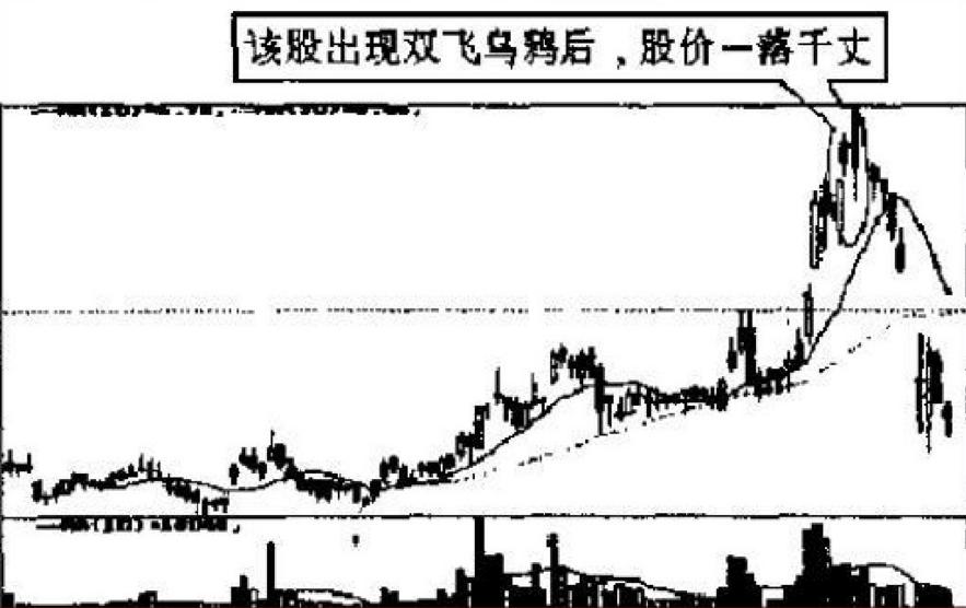 每天学点股票基本知识,股市操练大全第一册免费阅读