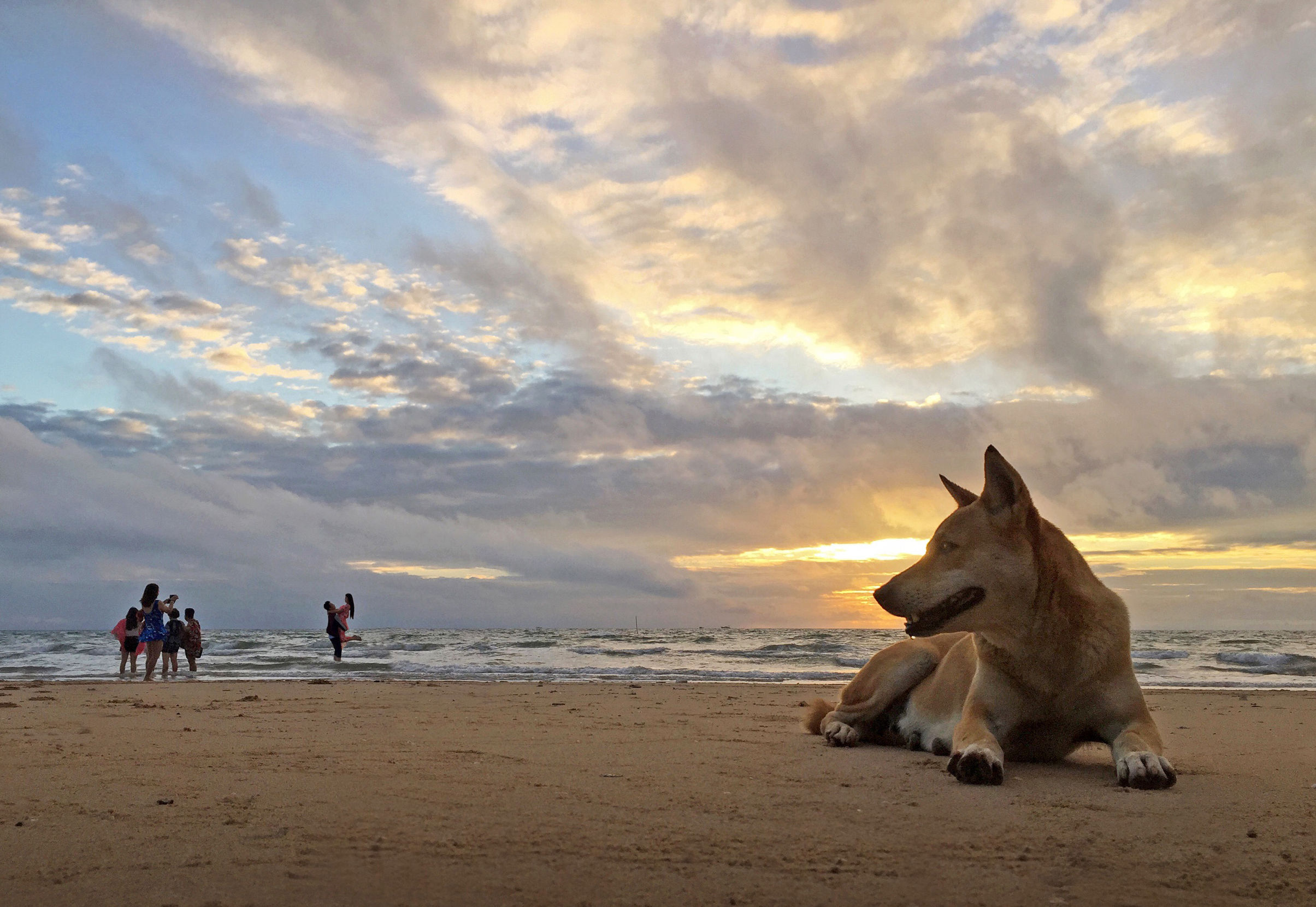 涠洲岛中国最大最年轻的火山岛,最大的火山岛涠洲岛