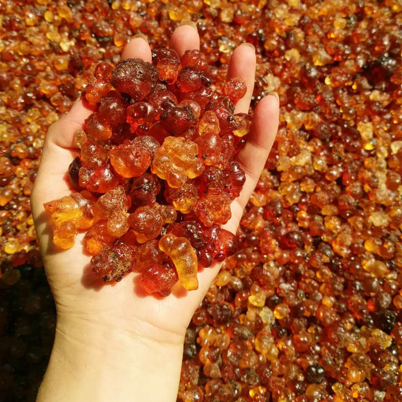 桃胶桃质丰富,除了桃树还有什么树的桃胶可以吃