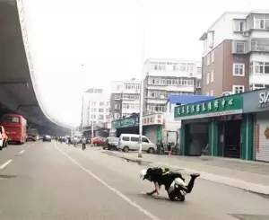 脚踩风火轮也跑不赢,脚踩风火轮感觉时间还是不够用