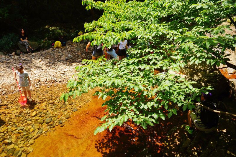 一场说走就走的夏日旅游,一场说走就走的山水旅游
