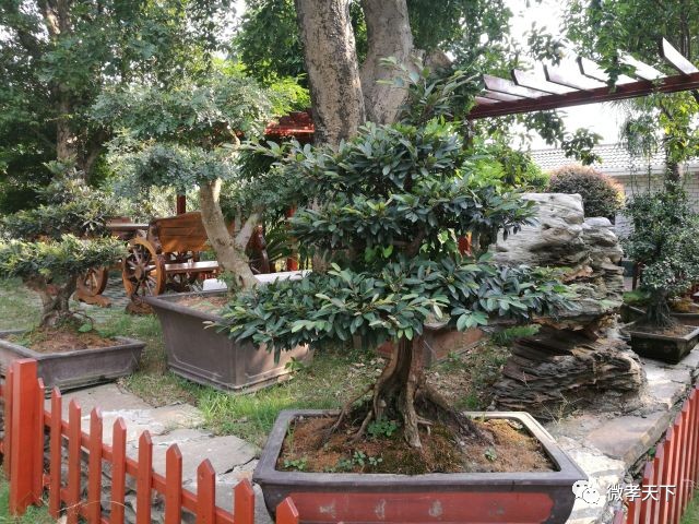 全国网络媒体孝感行：跟着媒体大咖们继续前进，原来咱们孝感的县市区也发展的如此迅速！