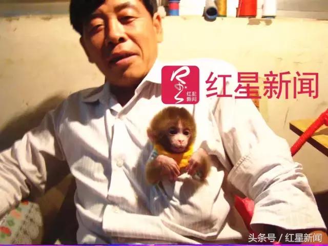 河南新野县耍猿的人,河南新野卖猴子的地方