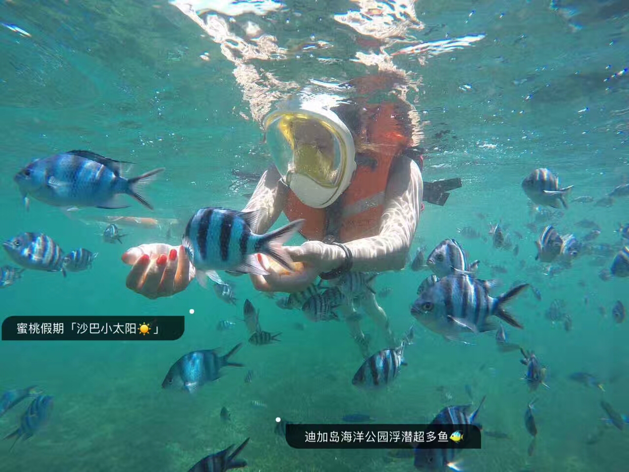 沙巴自助游攻略,沙巴day1攻略