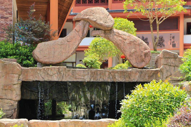 一场说走就走暑假旅行,一场说走就走的旅行来了