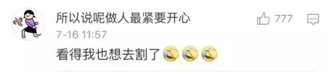 成都流浪猫割双眼皮后的图片,给流浪猫割双眼皮