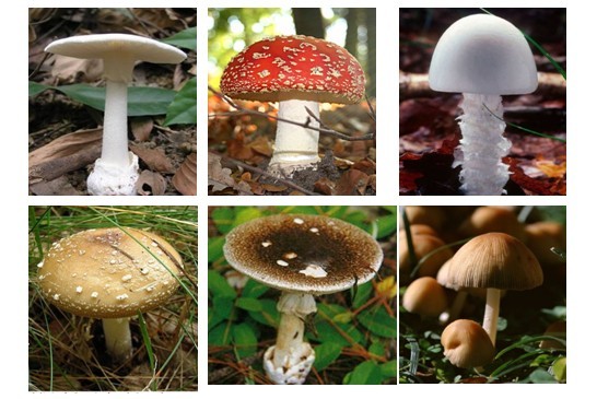 如何判断假货最简单的方法 (怎样鉴别买到的东西是不是假货)